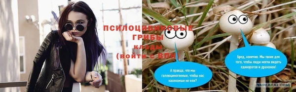 мдпв Заволжск