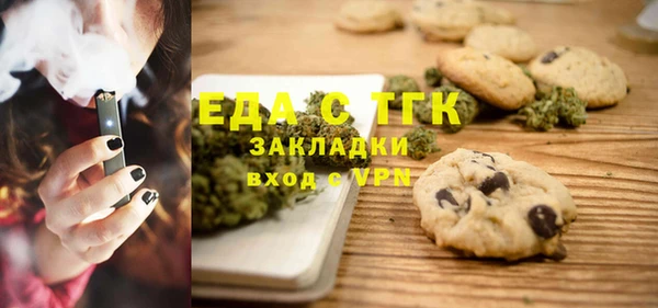 гашик Ельня