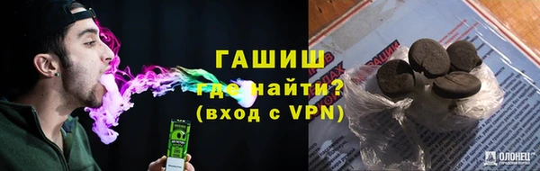 гашик Ельня