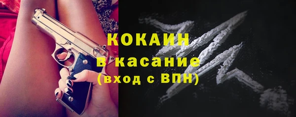 гашик Ельня