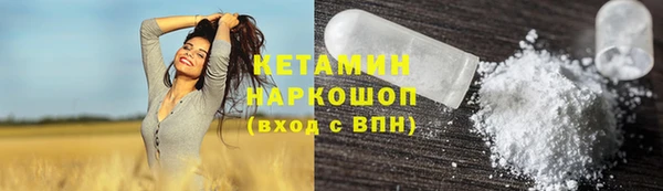 гашик Ельня