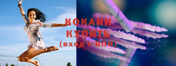 гашик Ельня