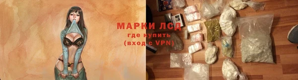 гашик Ельня