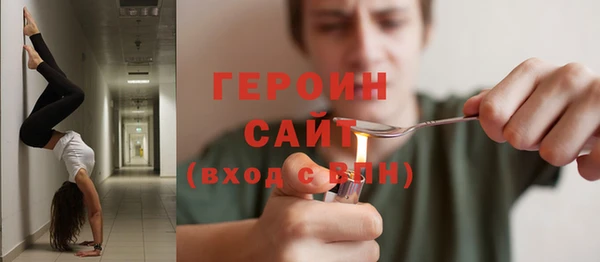 гашик Ельня