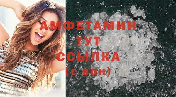 гашик Ельня