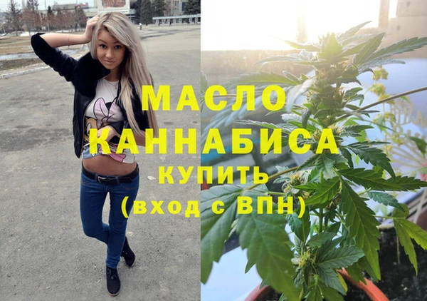 гашик Ельня