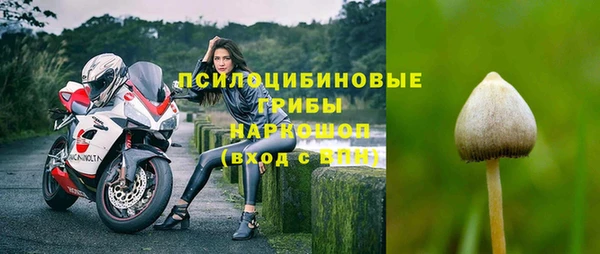 гашик Ельня