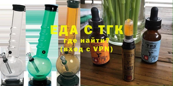 гашик Ельня