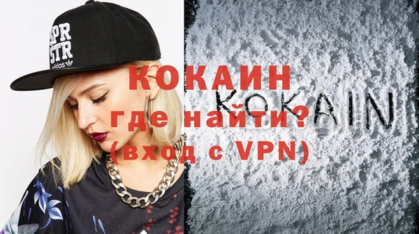 гашик Ельня