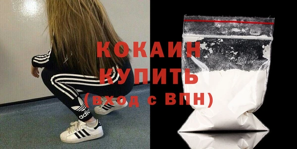 гашик Ельня
