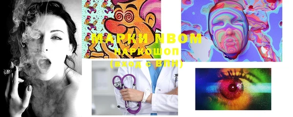 мяу мяу мука Елизово
