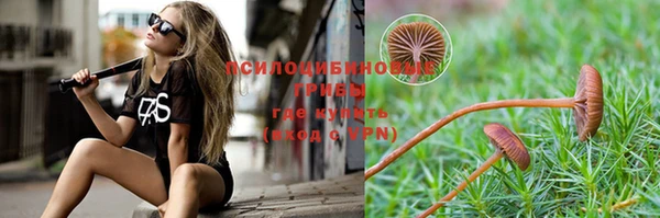 гашик Ельня