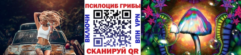 Купить где  Камень-на-Оби  Псилоцибиновые грибы Psilocybe 