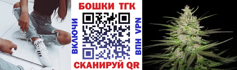 Купить закладки  Камень-на-Оби  Бошки марихуана Ganja 